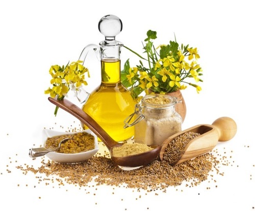 mustard oil