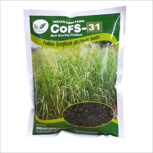 Cofs31 Fodder Sorghum Jowar Seeds At Best Price In Kanyakumari Indian