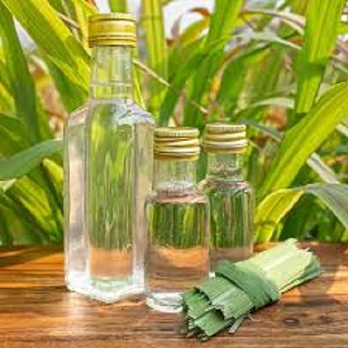 Citronella Hydrosol Age Group All Age Group At Best Price In Surat