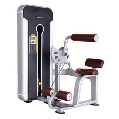 Tnt 010 Abdominal Machine Application Gain Strength At Best Price In