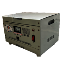 Rayvolts Power 3 KVA Constant Voltage Transformer Single Phase 230V