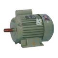 Single Phase Electric Motor Cast Iron Body At Best Price In Jalandhar