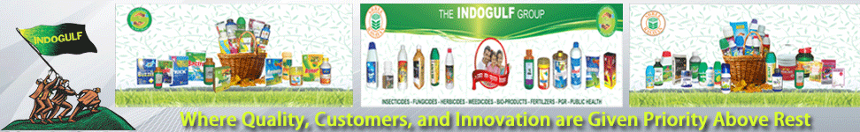 Inorganic Fertilizer Inorganic Fertilizer Exporter Importer Manufacturer Supplier Delhi 