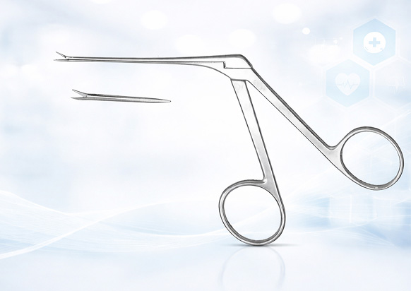 Bhagawati Enterprise