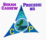 Soham Cashew Processing