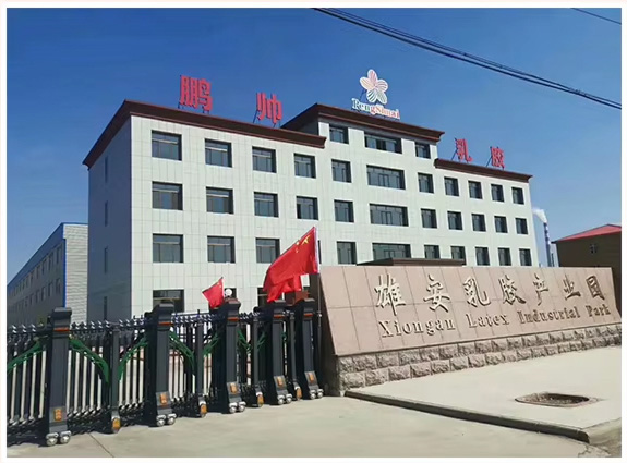 Xiongxian Pengshuai Latex Products Co., Ltd.