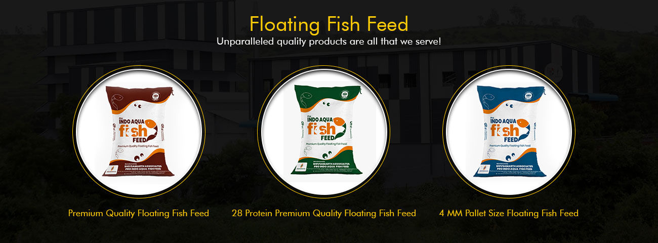 3 MM Size Floating Fish Feed Manufacturer, 4MM Size Floating Fish Feed  Supplier From Maharashtra