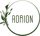 Aorion Technoserve Private Limited