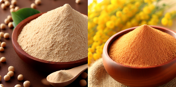 STDM Food & Beverages Pvt. Ltd.