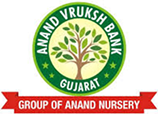 ANAND GARDEN NURSERY