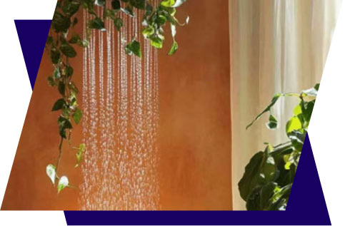 We Provide The Best Quality Products