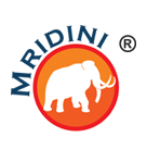 Mridini-Castings-LLP