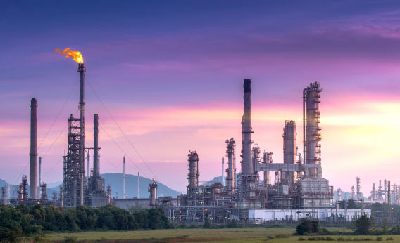 Company Profile