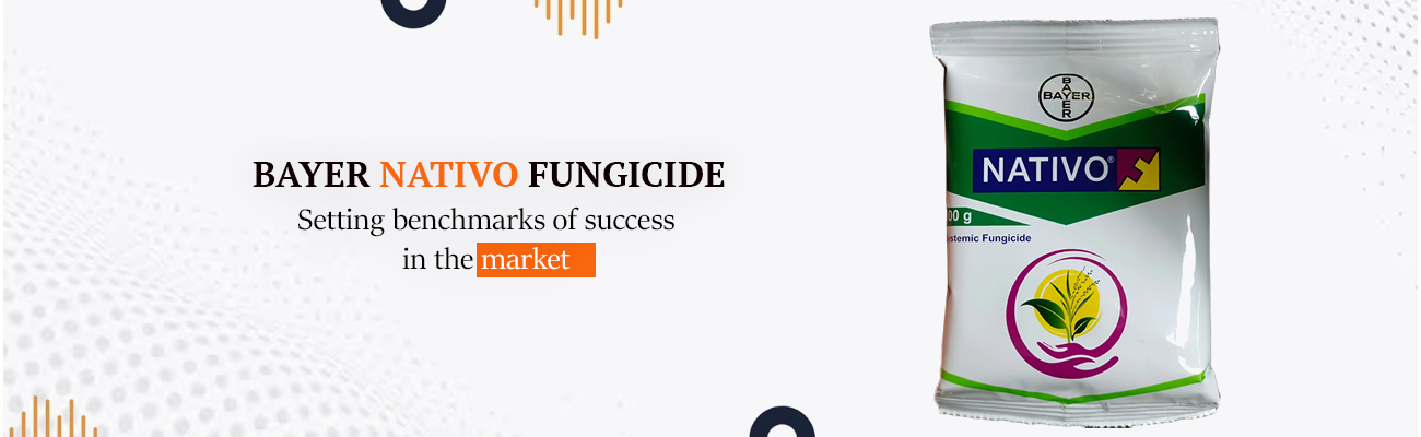 Slide4