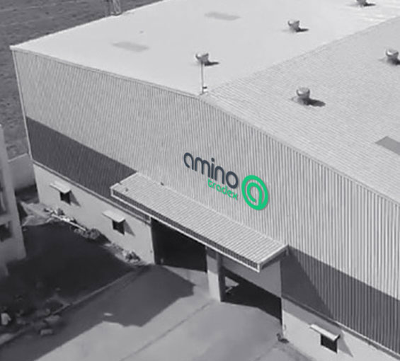 Amino Global