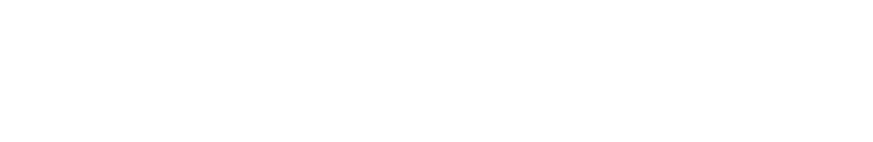 Key Facts of Swastik Enterprises