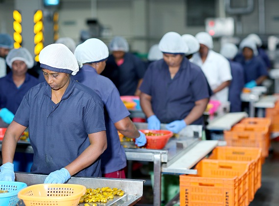 Freshara Agro Exports Limited