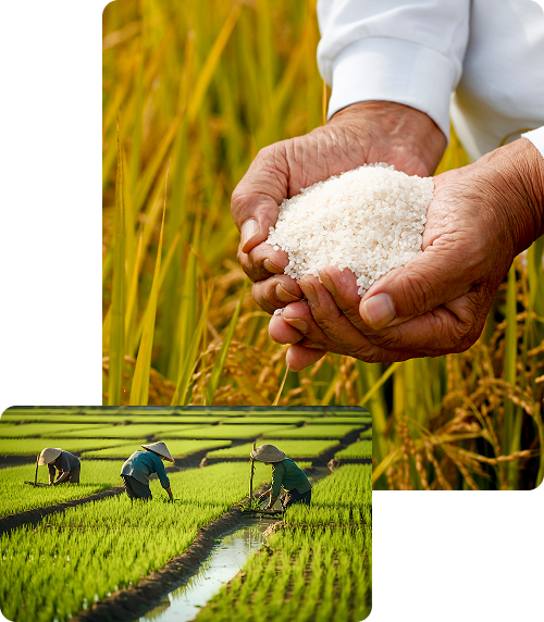 Dutta Agro Products Pvt Ltd