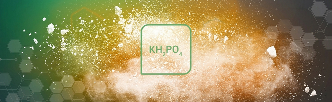 banner4
