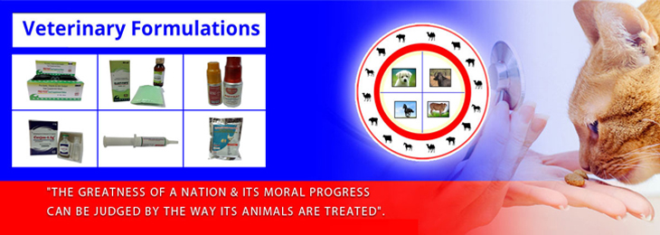 Slide4