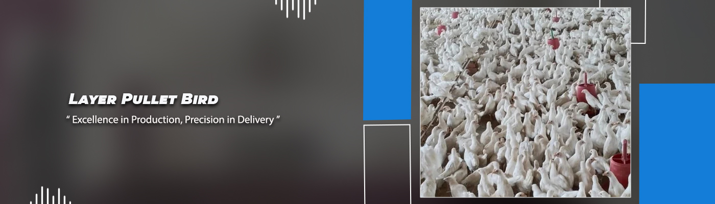 Slide3