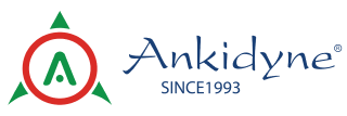 Ankidyne Science Park & Playground Equipments