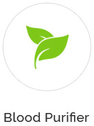 Isha Agro Isha Agro
