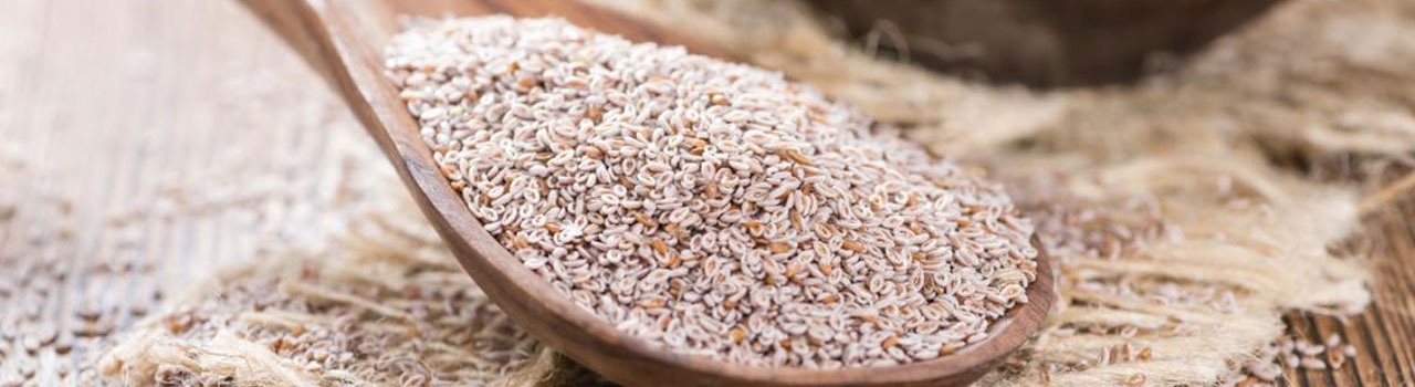 Psyllium Husk Powder Exporterpsyllium Husk Powder Suppliermanufacturer
