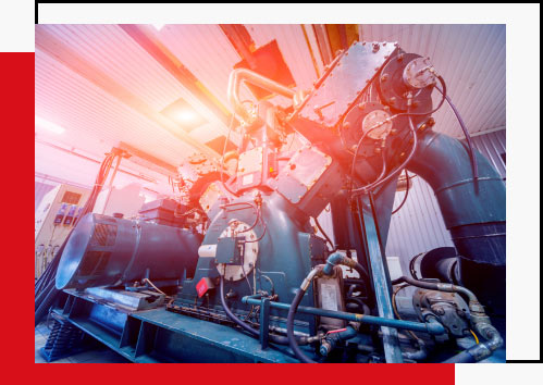 What Sets Us Apart? What Sets Us Apart?