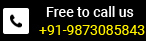 Customer Support & Sales