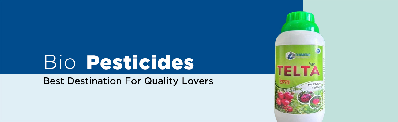 Slide2