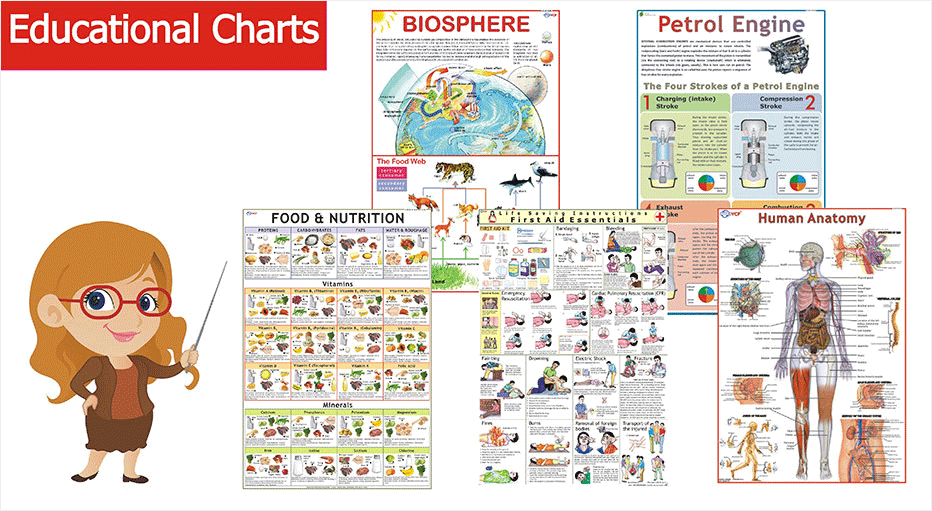 Educational Charts Manufacturers In India