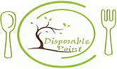 Disposable Point