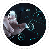 Our Services Includes