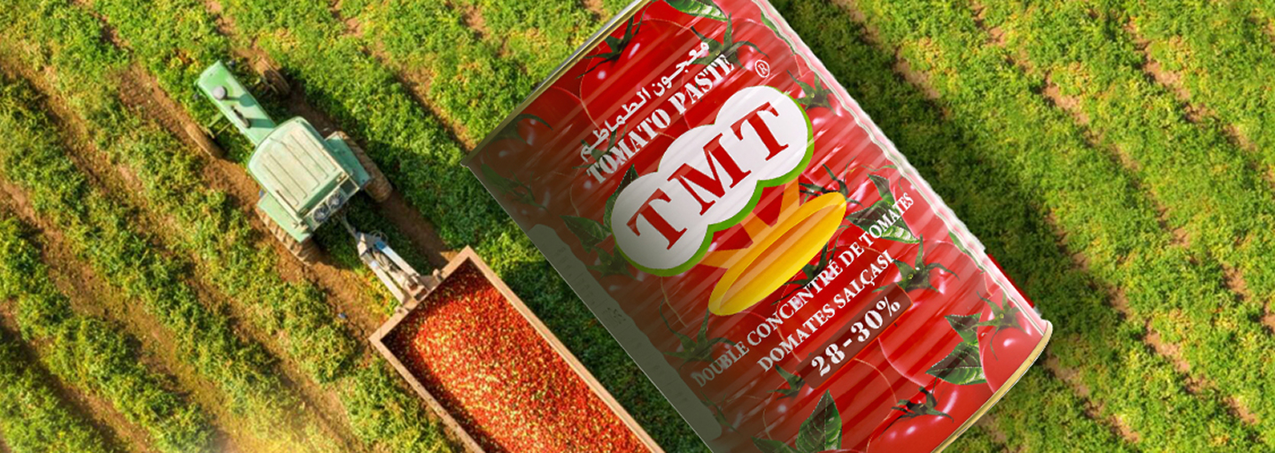 Hebei Tomato