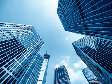 Company Profile