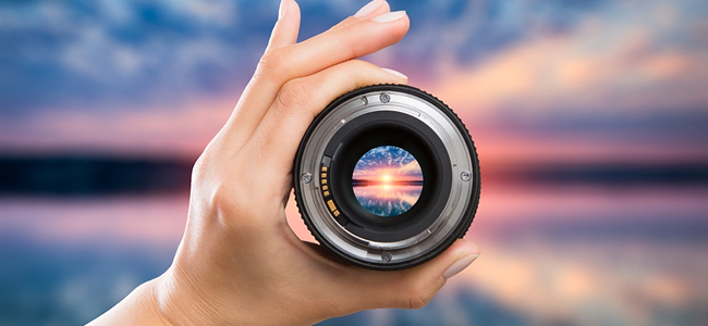 We Primarily Focus On