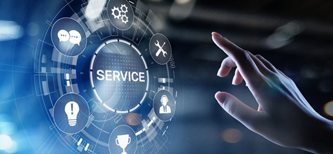 We Primarily Focus On