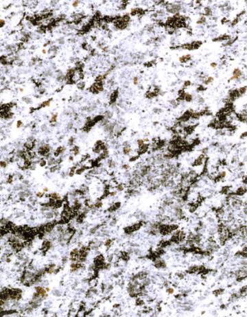 Oriental Sky Splatter Granite and Marble are available in different sizes. The standard thickness of