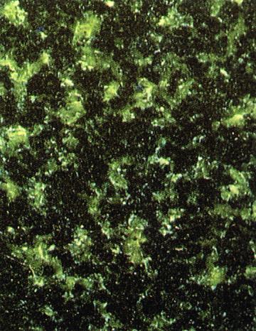 Hassan Green Granites and Marbles are available in different sizes. The standard thickness of the pr