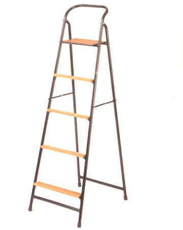 Step up Ladder