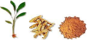 Turmeric