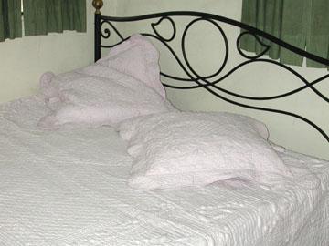 Olive Torpento Bed Cover