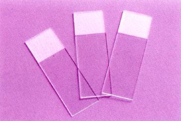 Frosted Microslides