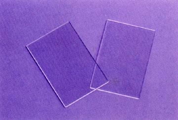 Plain Micro Slides