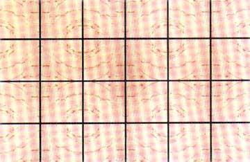 Compete Series Tile