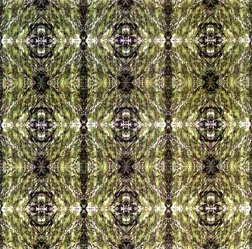 Printed Series Tile