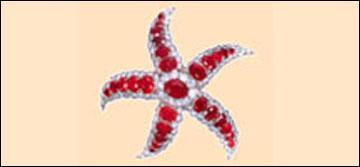 Brooches - Gold 6gm, Diamond 1.00 ct, Ruby 2.00 ct | Elegant Design, Luxury Accessory, Pave Setting