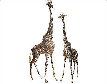 ZIRAF PAIR