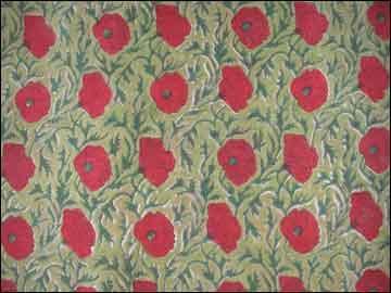 Poppies in a Field
